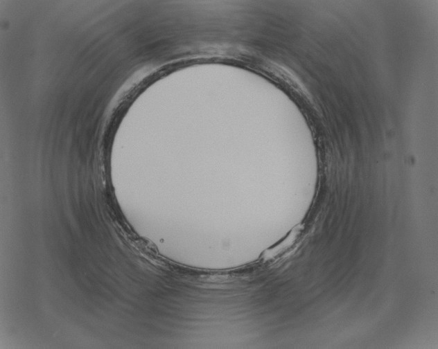 X0000078281172200612011737