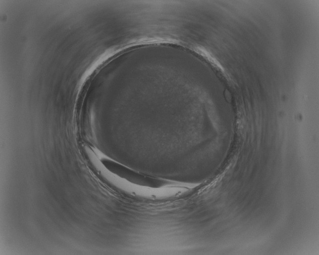 X0000078281173200612011737