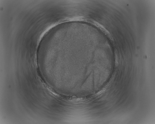 X0000078281174200612011737