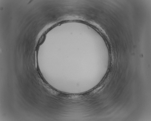 X0000078281175200612011737