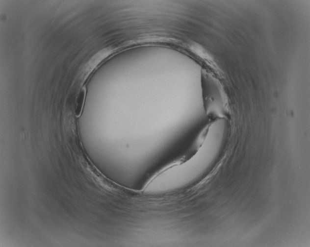 X0000078281177200612011737