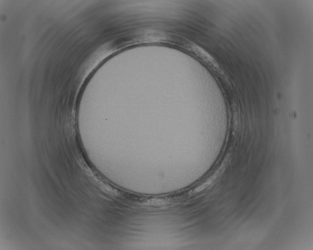 X0000078281178200612011737