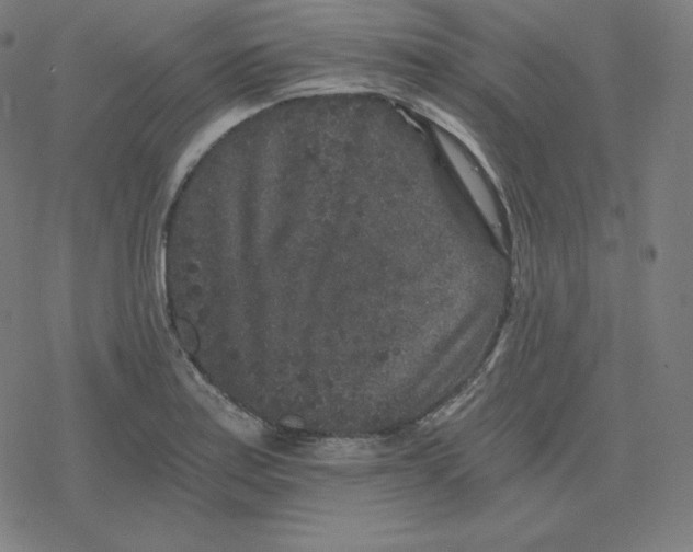 X0000078281179200612011737