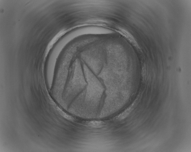 X0000078281180200612011737