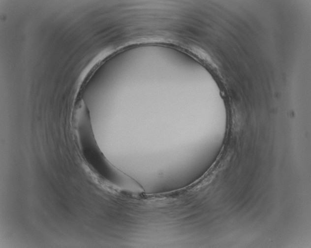 X0000078281181200612011737