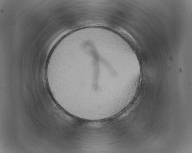 X0000078281182200612011737