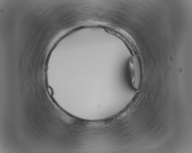 X0000078281183200612011737