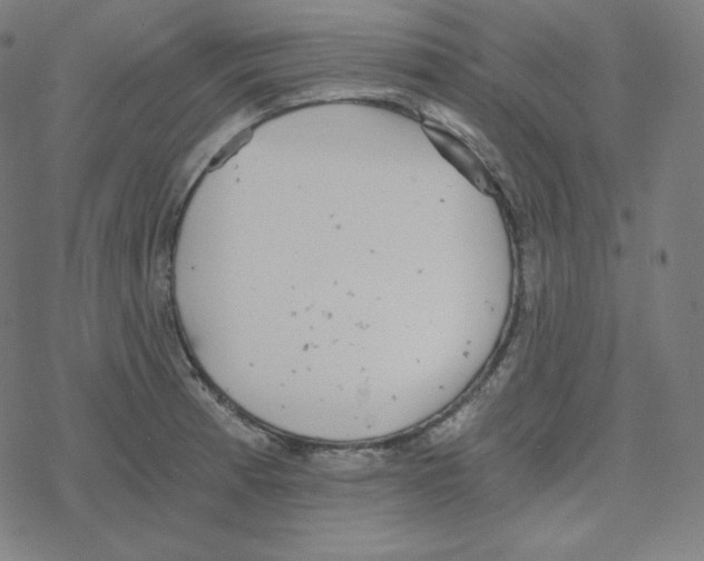 X0000078281185200612011737