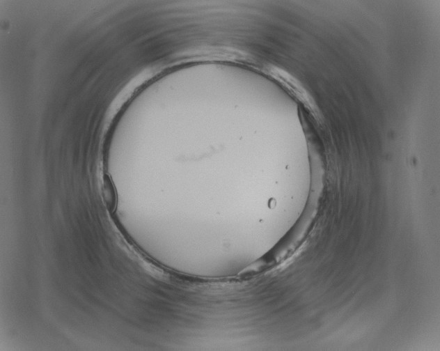 X0000078281188200612011736