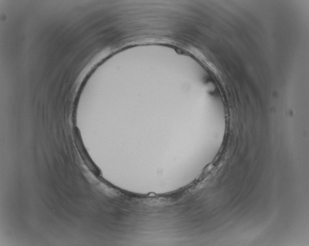 X0000078281189200612011736