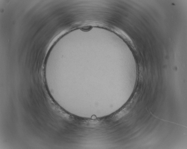 X0000078281190200612011736