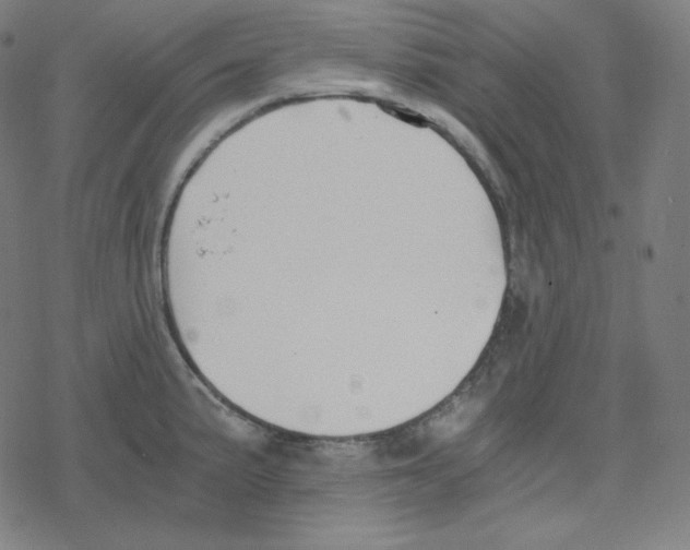 X0000078281191200612011736