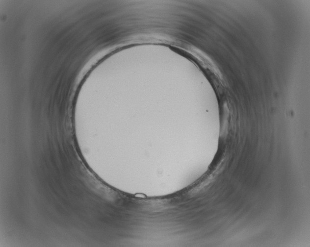 X0000078281192200612011736