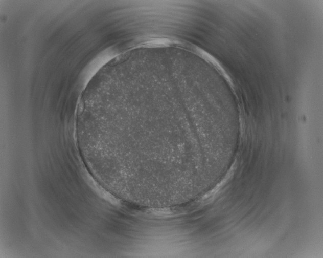 X0000078281194200612011736