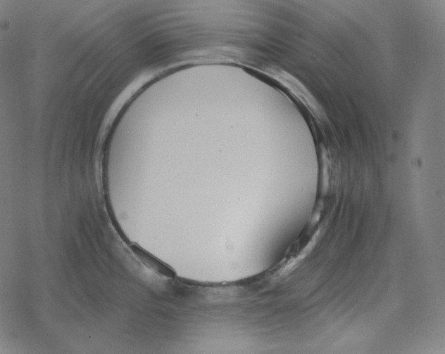 X0000078281196200612011736