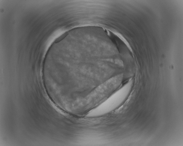 X0000078281197200612011736