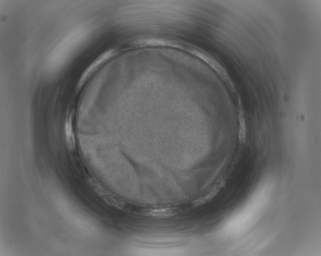 X0000078281198200612011736