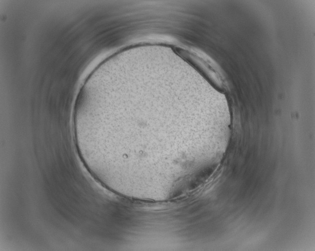 X0000078281199200612011736