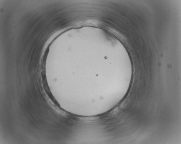 X0000078281200200612011736