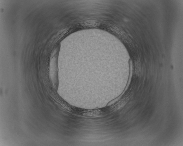 X0000078281201200612011736