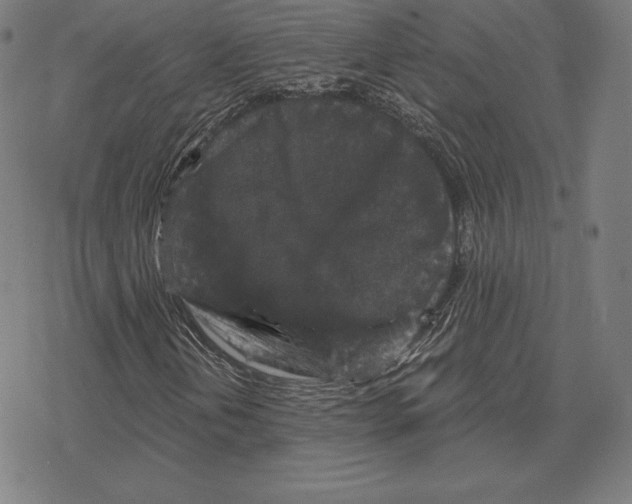 X0000078281202200612011736