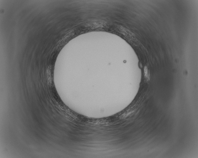 X0000078281203200612011736