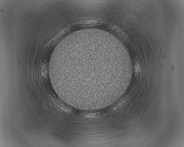 X0000078281204200612011736