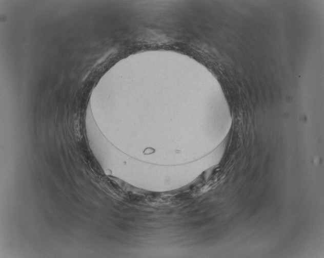 X0000078281205200612011736