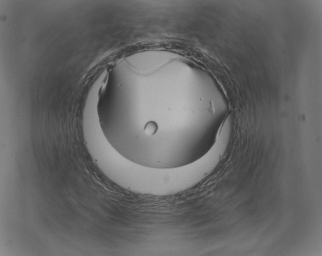 X0000078281206200612011736