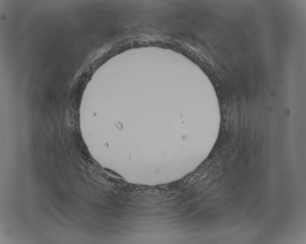 X0000078281207200612011736