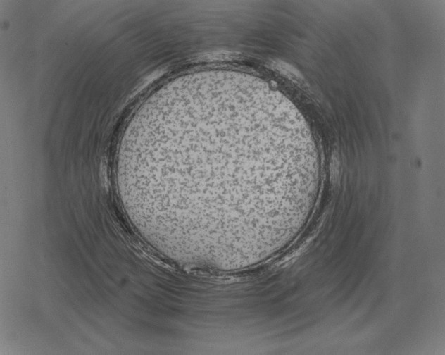 X0000078281209200612011736