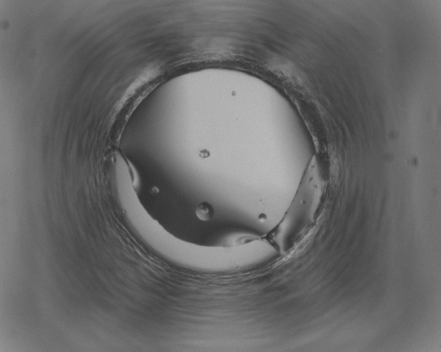 X0000078281210200612011736