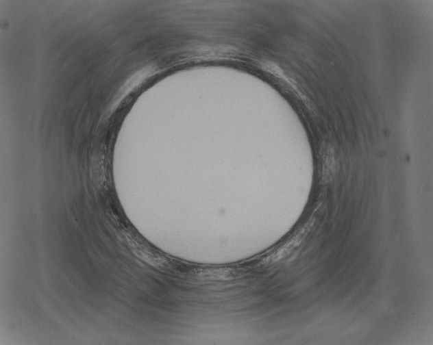 X0000078281211200612011736