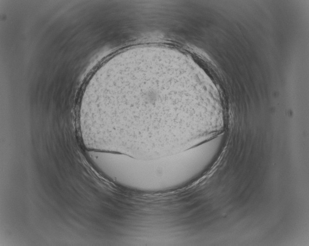 X0000078281212200612011736