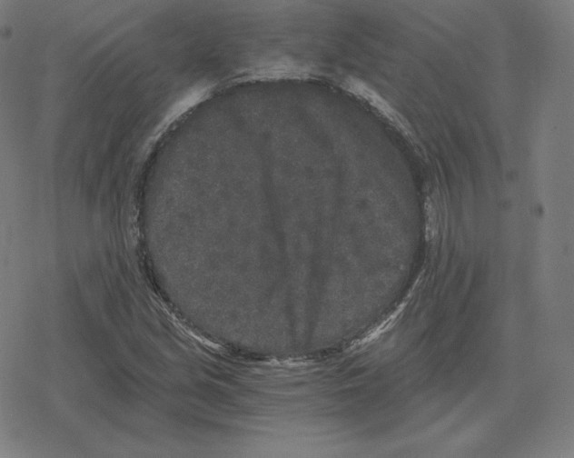 X0000078281213200612011736