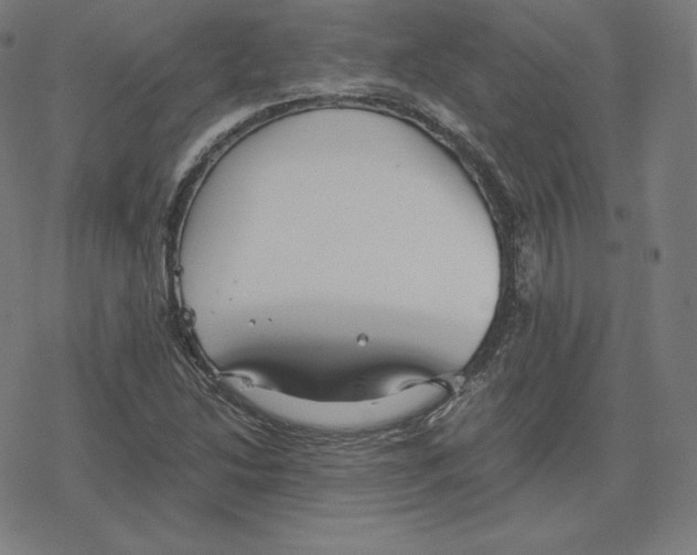 X0000078281214200612011736