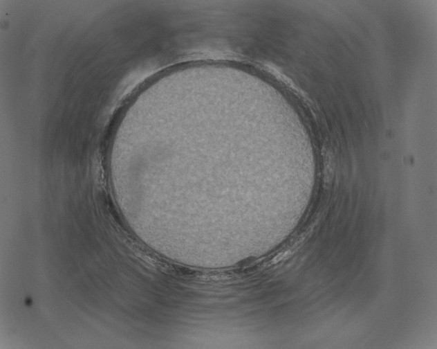 X0000078281215200612011736