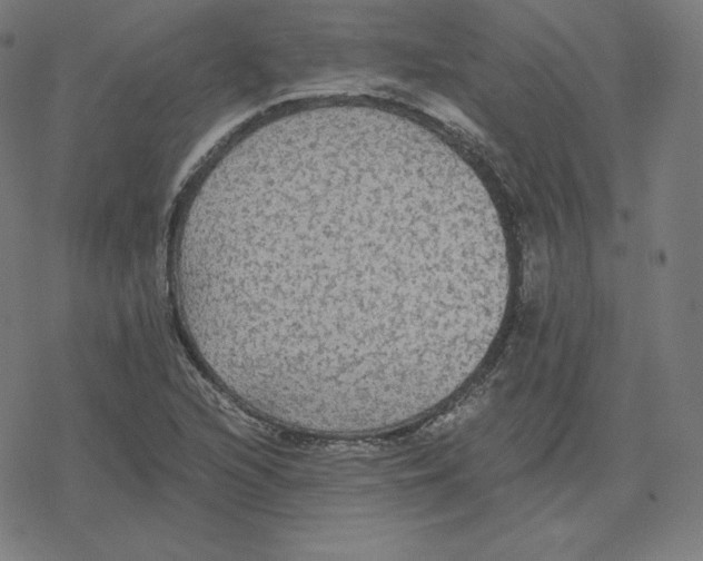 X0000078281216200612011736