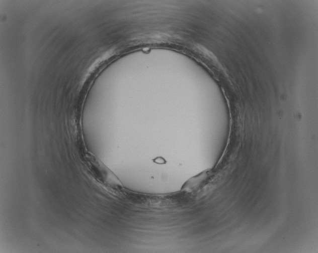 X0000078281218200612011736