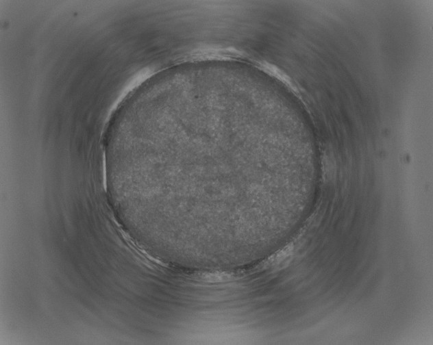 X0000078281219200612011736