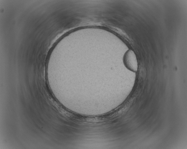 X0000078281220200612011736