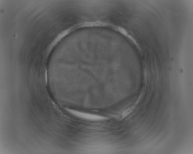 X0000078281221200612011736