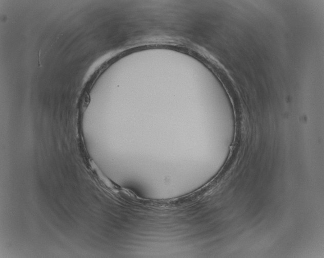 X0000078281222200612011736