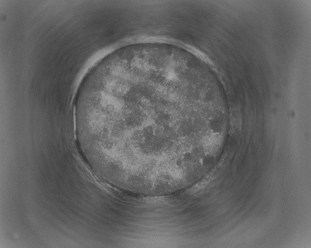 X0000078281223200612011736