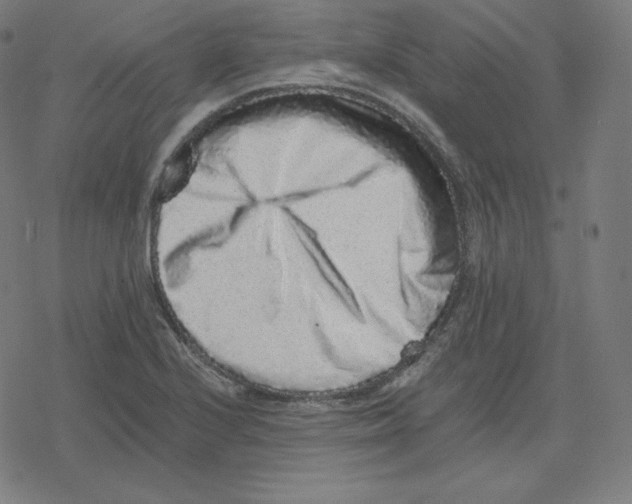 X0000078281224200612011736