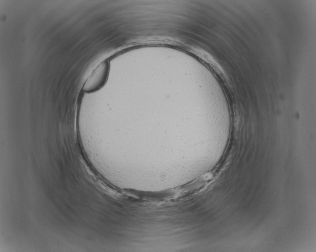 X0000078281228200612011736