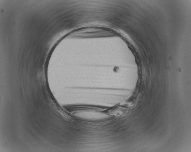 X0000078281230200612011736