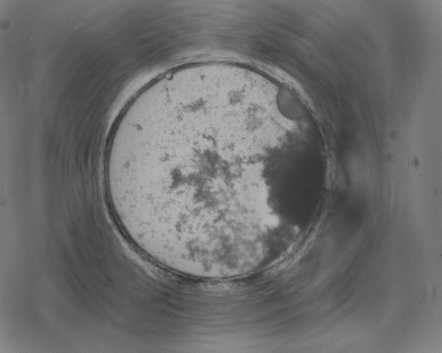 X0000078281231200612011736