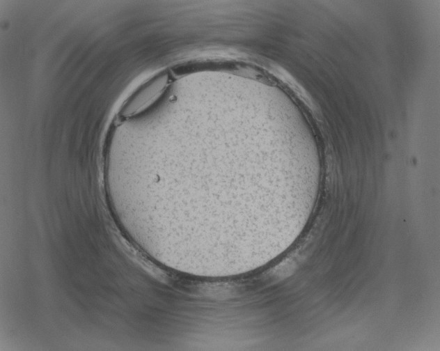 X0000078281232200612011736