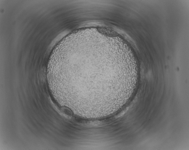 X0000078281233200612011736